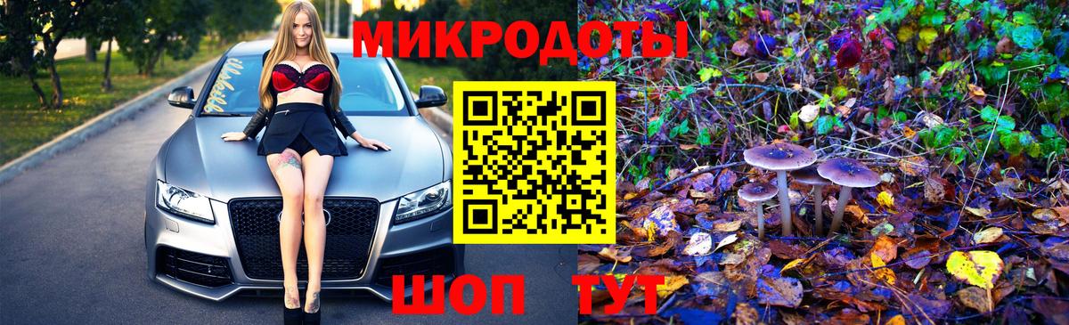 Псилоцибиновые грибы Magic Shrooms Реж