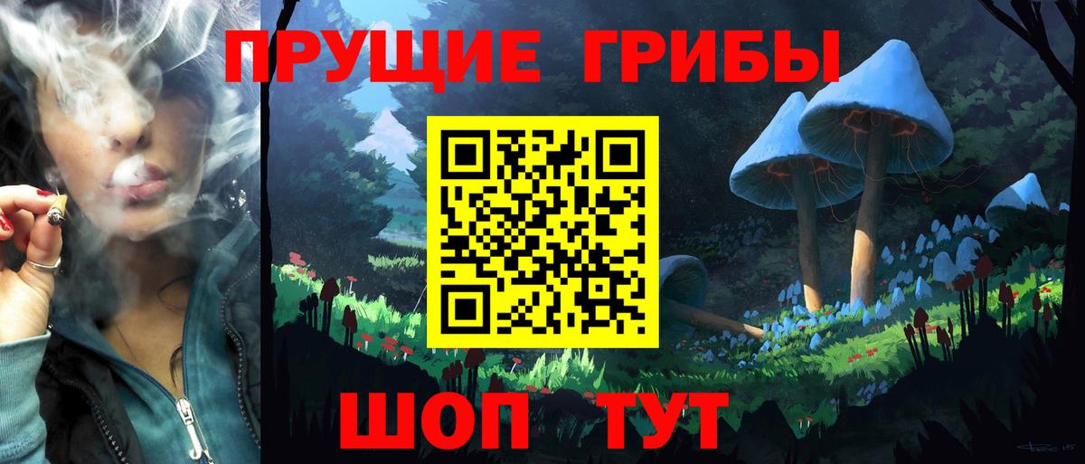 Галлюциногенные грибы GOLDEN TEACHER  Вход с VPN  Реж 